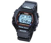 Casio Marine Gear DW2901V Wrist Watch