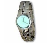 DKNY 3081 Wrist Watch
