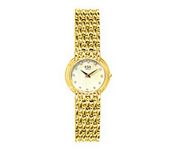 ESQ Coventry 07100202 Wrist Watch