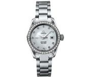 Omega Aqua Terra 2579.75 Wrist Watch