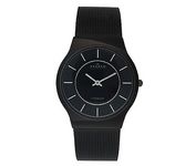 Skagen 233LTMB Wrist Watch