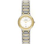Skagen 240SGX Wrist Watch