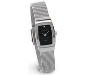 Skagen 271SSSBD Wrist Watch