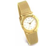 Skagen 107SGGD Wrist Watch