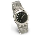 Skagen 107SSSBD Wrist Watch