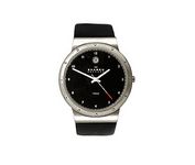 Skagen Titanium Numero 530LTLB Wrist Watch