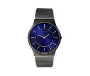 Skagen 233LTMN Wrist Watch