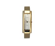 Skagen Diamond Interval 353SGGD Wrist Watch